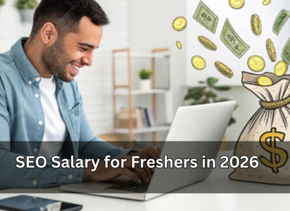 SEO Salary for Freshers